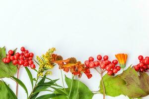 otoño floral composición. marco hecho de otoño plantas viburnum bayas naranja flores aislado en blanco antecedentes. otoño otoño natural plantas ecología fondo de pantalla concepto. plano laico parte superior vista, Copiar espacio foto