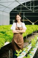 Asian female farmer wearing  is caring for organic vegetables inside the nursery.Young entrepreneurs with an interest in agriculture. Building a agricultural career photo