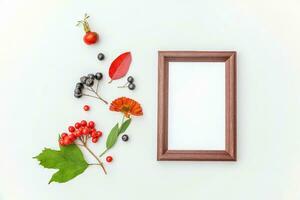 Autumn floral composition. Vertical frame mockup chokeberry rowan berries colorful leaves dogrose flowers on white background. Fall natural plants ecology concept. Flat lay top view, copy space photo