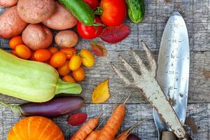 Assortment different fresh organic vegetables and gardening tools on country style wooden background. Healthy food vegan vegetarian eating dieting concept. Local garden produce clean food. photo