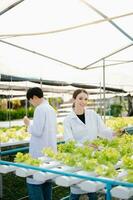 Researcher team in white uniform are checking with ph strips in hydroponic farm and pH level scale graphic, science laboratory greenhouse concept. photo