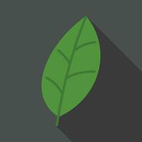 Green leaf on black background flat icon with long shadow. Simple Biology icon pictogram vector illustration. Tree, plant, chlorophyll, botanist, biology concept. Logo design