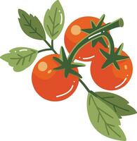 Hand Drawn tomatoes with twigs in flat style vector