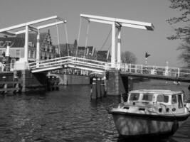 Haarlem in the netherlands photo