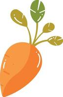 Hand Drawn carrot in flat style vector