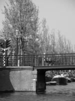 the city of Haarlem in the netherlands photo