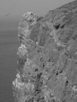 isla de helgoland en el mar del norte foto