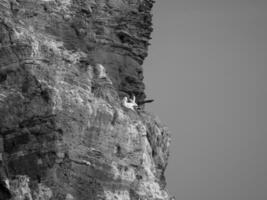 Helgoland island in germany photo