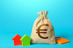 Euro money bag and small houses. Property appraisal, realtor services. Bank offer of mortgage loan. Investments in real estate. Buy. Rental business. Fair market price. Sale of housing. photo