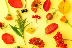 Autumn floral composition. Plants viburnum rowan berries dogrose fresh flowers colorful leaves isolated on yellow background. Fall natural plants ecology wallpaper concept. Flat lay, top view photo