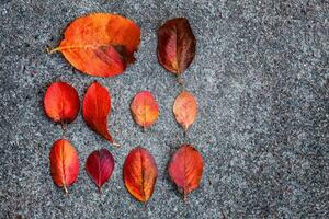 de cerca natural otoño otoño ver de rojo naranja hoja acostado abajo en acera suelo antecedentes en jardín o parque. inspirador naturaleza octubre o septiembre fondo de pantalla. cambio de estaciones concepto. foto