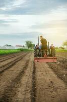 A farmer grinds up solid soil to plant new crops. Development of agricultural economy, introduction of modern technologies. Farming, agriculture. Loosening surface, land cultivation. Plowing. photo