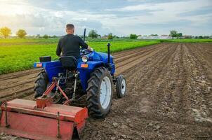 un granjero en un tractor mira a el agricultores campo. trabajo en el plantación, preparando el suelo para subsecuente plantando con nuevo cultivos. tierra cultivo. agricultura, agricultura. foto