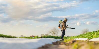 A worker with a sprayer works in the field. Use of chemicals for protection of cultivated plants from insects and fungal infections. Farm work. Pesticides and fungicides. Agriculture and agro industry photo