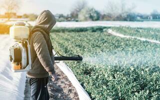 un hombre aerosoles un granja campo. proteccion de plantas. pesticidas y fungicida en agroindustria. salud peligro para consumidores de agrícola productos y comida desde el utilizar de prohibido productos quimicos foto