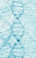 DNA with water surface background, 3d rendering. photo