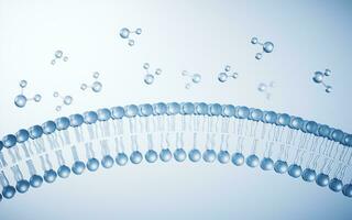 Transparent cytomembrane structure, 3d rendering. photo