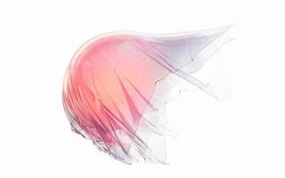Gradient transparent cloth background, 3d rendering. photo