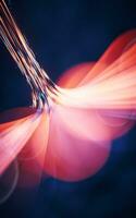 Flowing curves with glowing neon lines, 3d rendering. photo