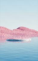 Rock product stage with pink grassland and lakes, 3d rendering. photo