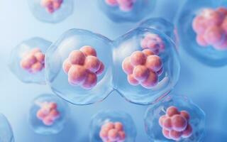 Mitosis of cells with biotechnology concept, 3d rendering. photo