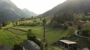 aéreo Visão do a austríaco Vila dentro a vale e tradicional pode árvore video