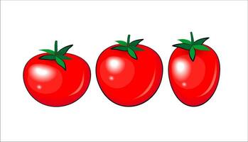 Red tomato vector illustration, different shape