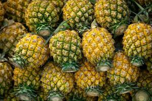 A pile of yellow pineapples in market. The flesh and juice of the pineapple are used in cuisines around the world. In many tropical countries, pineapple is prepared and sold on  roadsides as a snack. photo