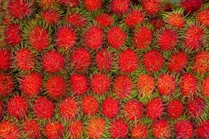 fresh rambutan fruit background. It is closely related to several other edible tropical fruits including the lychee, longan, pulasan, and mamoncillo. photo