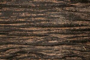 old brown wood texture background photo