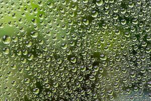 Water droplets on glass. Rain drops on window glass with green garden background. photo