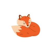 Cute cartoon fox sleeping isolate on white background. Vector graphics.