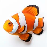 un naranja y blanco payaso pescado aislado foto