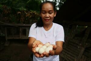 retrato de sonriente asiático mujer que lleva orgánico huevos en su manos a aves de corral granja. foto