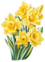 narciso flores gratis png ai generativo