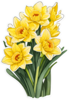 Daffodil Flower Bouquet Clipart with AI Generative png