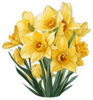 Daffodil Flower Bouquet Sticker with AI Generative png