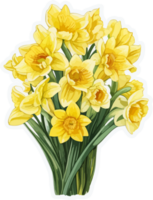 Daffodil Flowers Illustration with AI Generative png