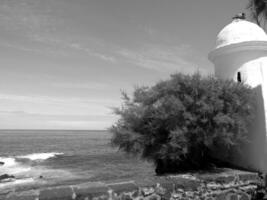 teneriffe isla en España foto