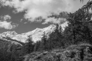 hiking in the swiss alps photo