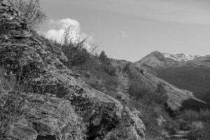 hiking in the swiss alps photo