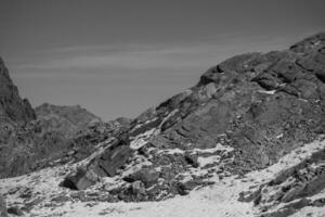 hiking in the swiss alps photo