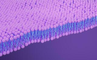 Cell membrane structure background, 3d rendering. photo