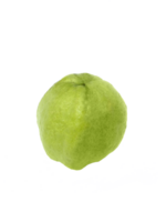 guava tropisch fruit. transparant achtergrond png