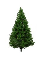 Noël arbre, transparent Contexte png