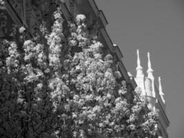 the city of Madrid in spain photo