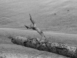 the baltic sea in poland photo