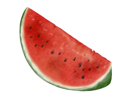 watermelon fruit   watercolor illustration isolated element png