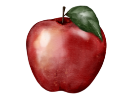 maçã fruta composição aguarela ilustração isolado elemento png