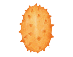 kiwano melone frutta acquerello illustrazione isolato elemento png